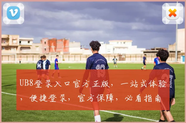 UB8登录入口官方正版，一站式体验，便捷登录，官方保障，必看指南