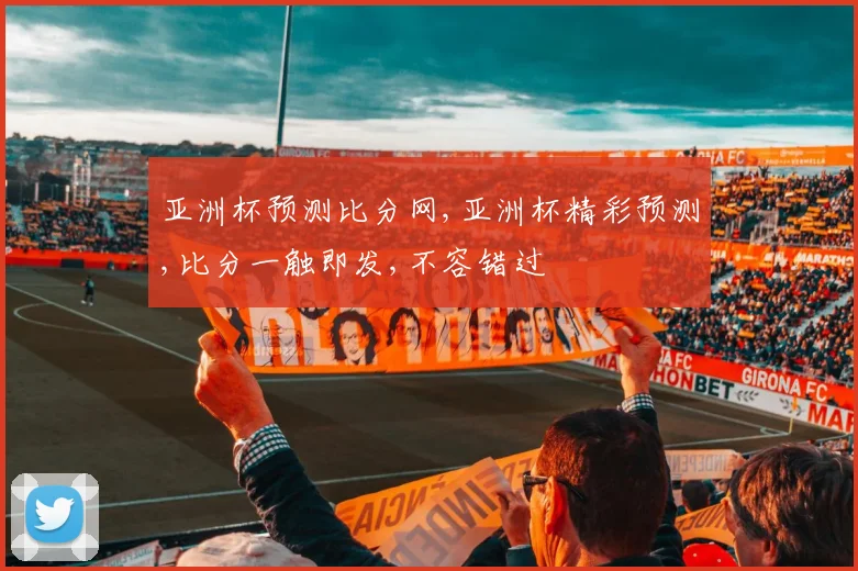 亚洲杯预测比分网,亚洲杯精彩预测,比分一触即发,不容错过
