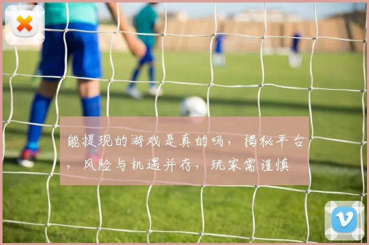 能提现的游戏是真的吗，揭秘平台，风险与机遇并存，玩家需谨慎