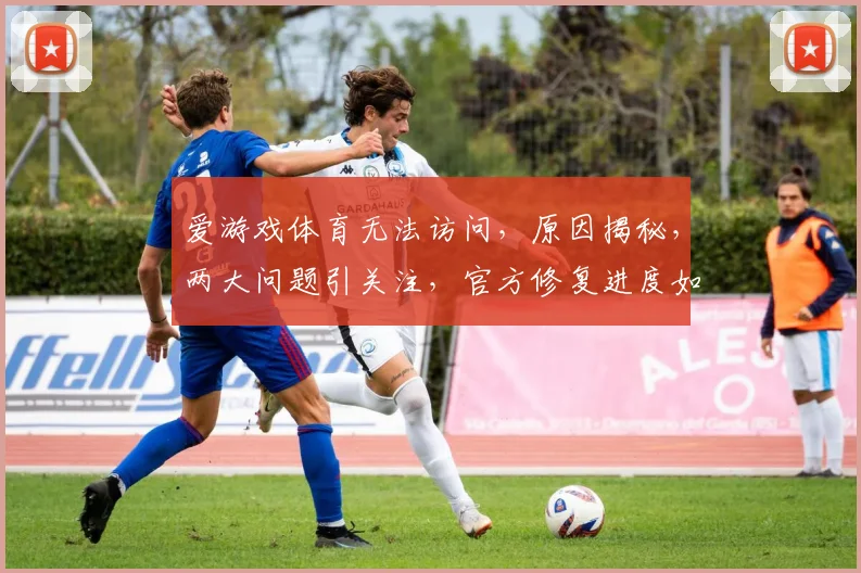 爱游戏体育无法访问，原因揭秘，两大问题引关注，官方修复进度如何
