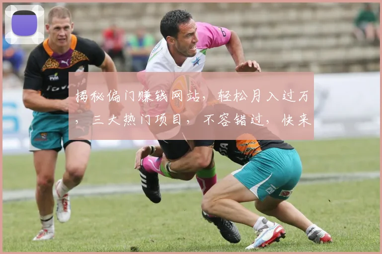 揭秘偏门赚钱网站，轻松月入过万，三大热门项目，不容错过，快来加入