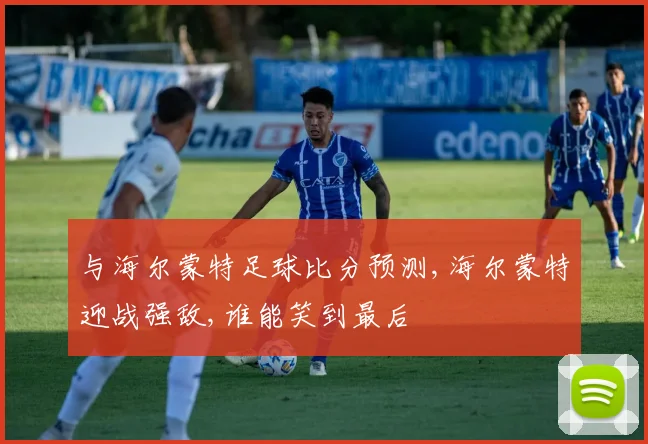 与海尔蒙特足球比分预测,海尔蒙特迎战强敌,谁能笑到最后